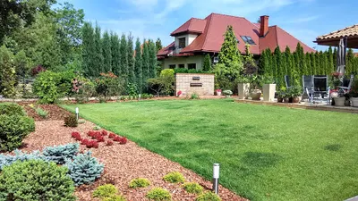 Czas na zieleń - projektowanie i urządzanie ogrodów